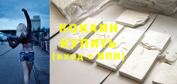 индика Заводоуковск