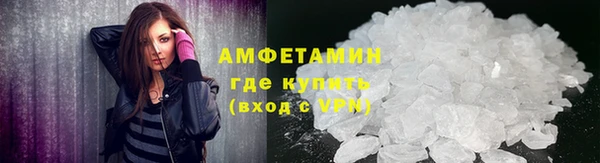 индика Заводоуковск