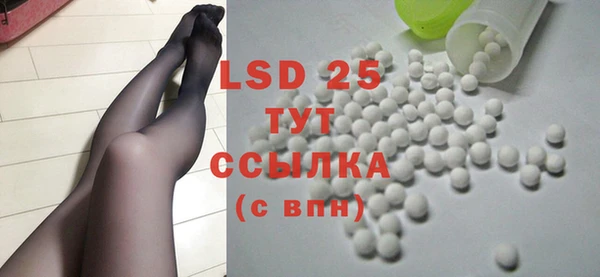 индика Заводоуковск
