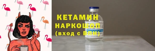 индика Заводоуковск