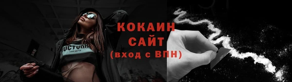 индика Заводоуковск