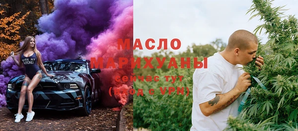 индика Заводоуковск