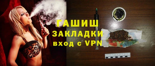 индика Заводоуковск