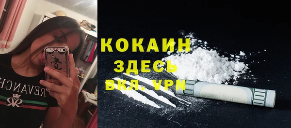 индика Заводоуковск